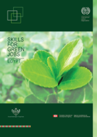 Skill for green jobs: Egypt
