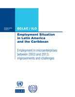 Employment in microenterprises between 2003 and 2013: improvements and challenges