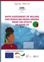 Rapid assessment of skilling and reskilling needs arising from the effects of COVID-19: Zambia