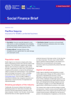 Pacífico Seguros: insurance for MSMEs: protected business