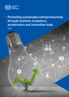 Promoting sustainable entrepreneurship through business incubators, accelerators and innovation hubs