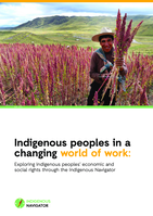Indigenous peoples in a changing world of work: exploring indigenous peoples’ economic and social rights through the Indigenous Navigator