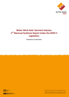 Garment industry 2nd biannual synthesis report under the HOPE II legislation