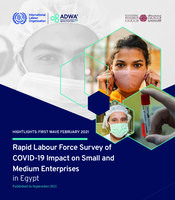 Rapid labour force survey of COVID-19 impact on small and medium enterprises in Egypt