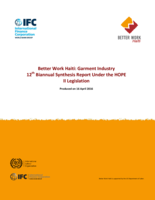 Garment industry 12th biannual synthesis report under the HOPE II legislation