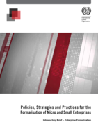 Policies, strategies and practices for the formalisation of micro and small enterprises