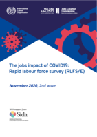 The jobs impact of COVID19: rapid labour force survey (RLFS/E) : November 2020, 2nd wave