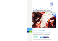 Estrategia: un enfoque estratégico para la administración de las organizaciones de empleadores : formular, convenir y ejecutar un plan de negocios sostenible