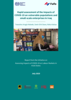Rapid assessment of the impacts of COVID-19 on vulnerable populations and small-scale enterprises in Iraq: report from the initiative on Assessing Impacts of COVID-19 on Labour Markets in Arab States