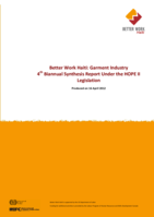 Garment industry 4th biannual synthesis report under the HOPE II legislation