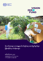 Pesticide safety in action: lessons from Myanmar