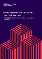 Internal and external factors for SME success: what EBMOs should know to promote more competitive enterprises
