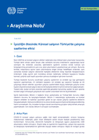 Beyond unemployment: the impact of the pandemic on hours worked in Turkey