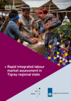 Rapid integrated labour market assessment in Tigray regional state