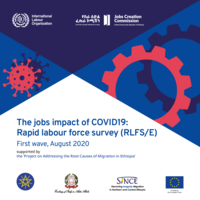 The jobs impact of COVID19: rapid labour force survey (RLFS/E) : first wave, August 2020
