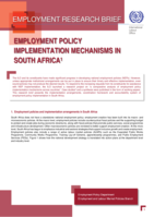 Employment policy implementation mechanisms in South Africa