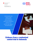 Does bundling credit and enterprise development services promote growth of micro and small enterprises?: evidence from a randomized control trial in Indonesia