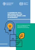 A handbook on a methodology for estimating green jobs in bioenergy: tools for investigating the effects of bioenergy production on employment at provincial level