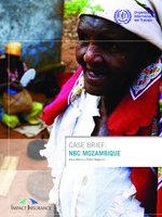 Case brief: NBC Mozambique