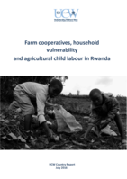 Farm cooperatives, household vulnerability and agricultural child labour in Rwanda