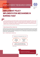 Employment policy implementation mechanisms in Burkina Faso