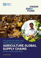 Occupational safety and health improvement in agriculture global supply chains: drivers and constraints : a synthesis review