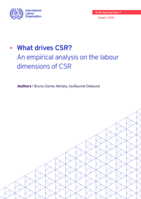 What drives CSR?: an empirical analysis on the labour dimensions of CSR