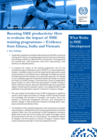 Boosting SME productivity: how to evaluate the impact of SME training programmes – evidence from Ghana, India and Vietnam