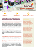 Progress and potential, Vietnam