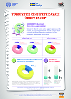 Gender wage gap in Turkey