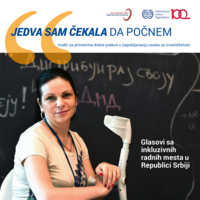 "I couldn't wait to get started": voice from inclusive workplaces in the Republic of Serbia