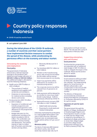 Country policy responses Indonesia