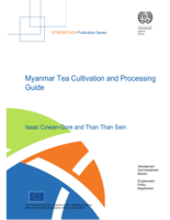 Myanmar tea cultivation and processing guide