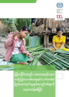 Assessment of options for establishing a Child Labour Monitoring System (CLMS) in Myanmar