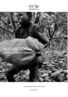 Not just cocoa: child labour in the agricultural sector in Ghana