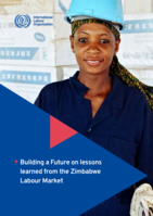 Building a future on lessons learned from the Zimbabwe labour market
