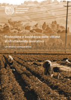 Protection and assistanceof victims of labour exploitation: a comparative analysis