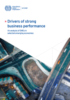 Drivers of strong business performance: an analysis of SMEs in selected emerging economies