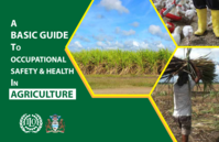 A basic guide to occupational safety and health&nbsp;in agriculture