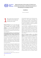Rapid assessment of the impact of COVID-19 on enterprises and workers in the informal economy in developing and emerging countries: guidelines
