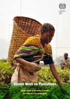 Decent work on plantations