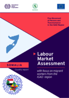 Labour market assessment with focus on migrant workers from the IGAD region: Somalia country report