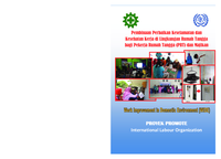 Guidance on improvements of occupational safety and health in domestic environment for domestic workers and employers: Work Improvement in Domestic Environment (WIDE)