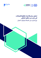 Analysis of the supply chain of the telecommunication sector in Egypt from an interrelation perspective with focus on labour and working conditions