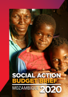 Social action budget brief: Mozambique 2020