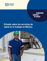Estudio sobre servicios de salud en el trabajo en México