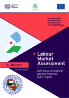 Labour market assessment with focus on migrant workers from the IGAD region: Djibouti country report