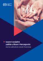 Issues in social protection in Bosnia and Herzegovina: coverage, adequacy, expenditure and financing