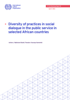 Diversity of practices in social dialogue in the public service in selected African countries