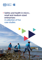 Safety and health in micro-, small and medium-sized enterprises: a collection of five case studies